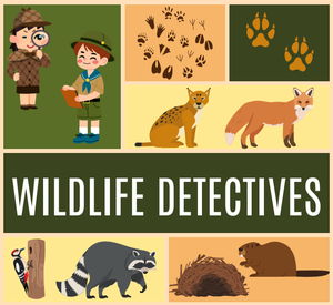 Wildlife Detectives